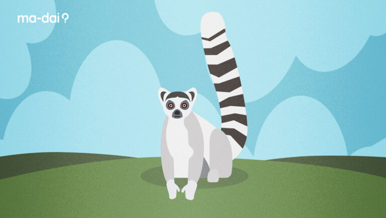Quando andare in Madagascar